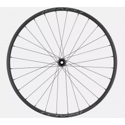 Roval Control 29 alloy