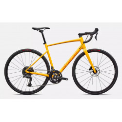 Le Specialized Allez est disponible dès maintenant chez Franscoop !
